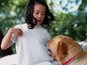 手ごろで頼りになるペット医療保険
