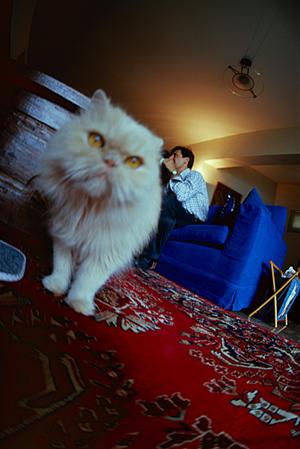 大阪でのペット輸送を安心・安全に！信頼できるサービスを徹底解説