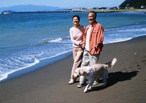 表参道でしつけが学べるペットホテル