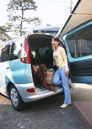 盛岡でのペット供養のすべて：心安らぐ場所と永代供養の選び方ガイド